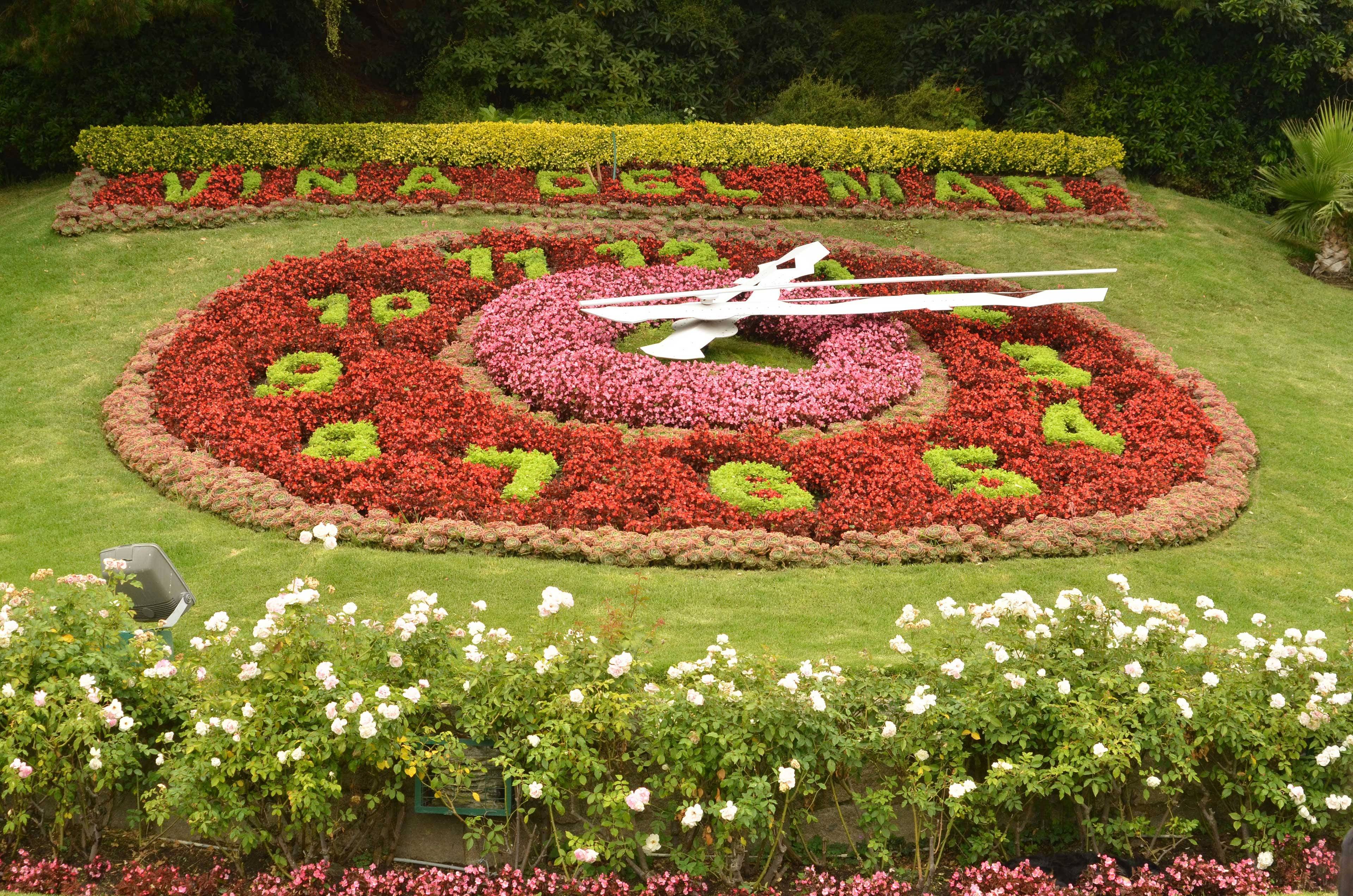 Vin A Del Mar Reloj Adobestock 78045244