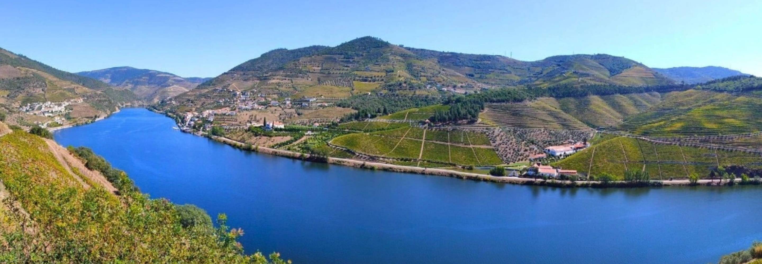 Douro Valley 3 Winery Tour