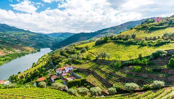 visita tour douro oporto