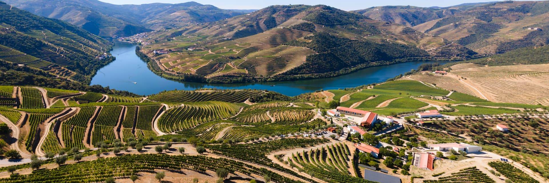 Duero desde Oporto: Tour por los viñedos, Cata de Vino en 2 bodegas, Almuerzo y Crucero