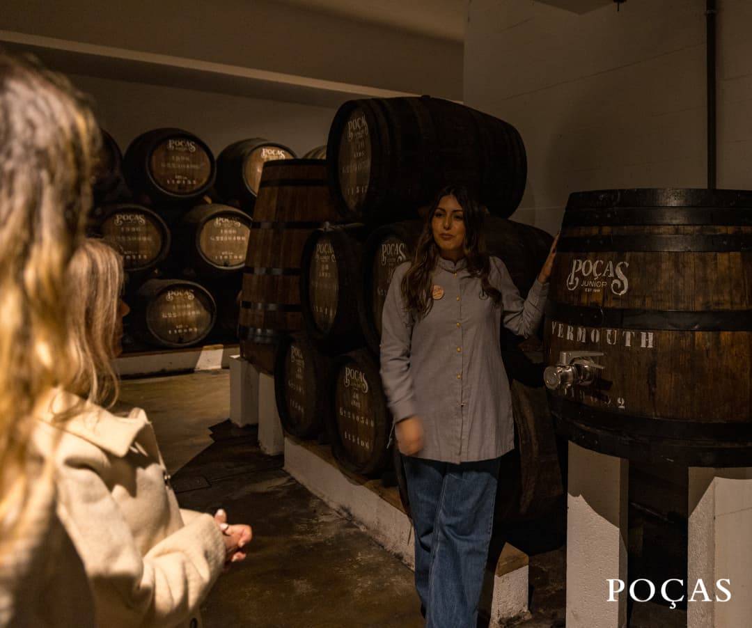 Visita Bodegas Oporto