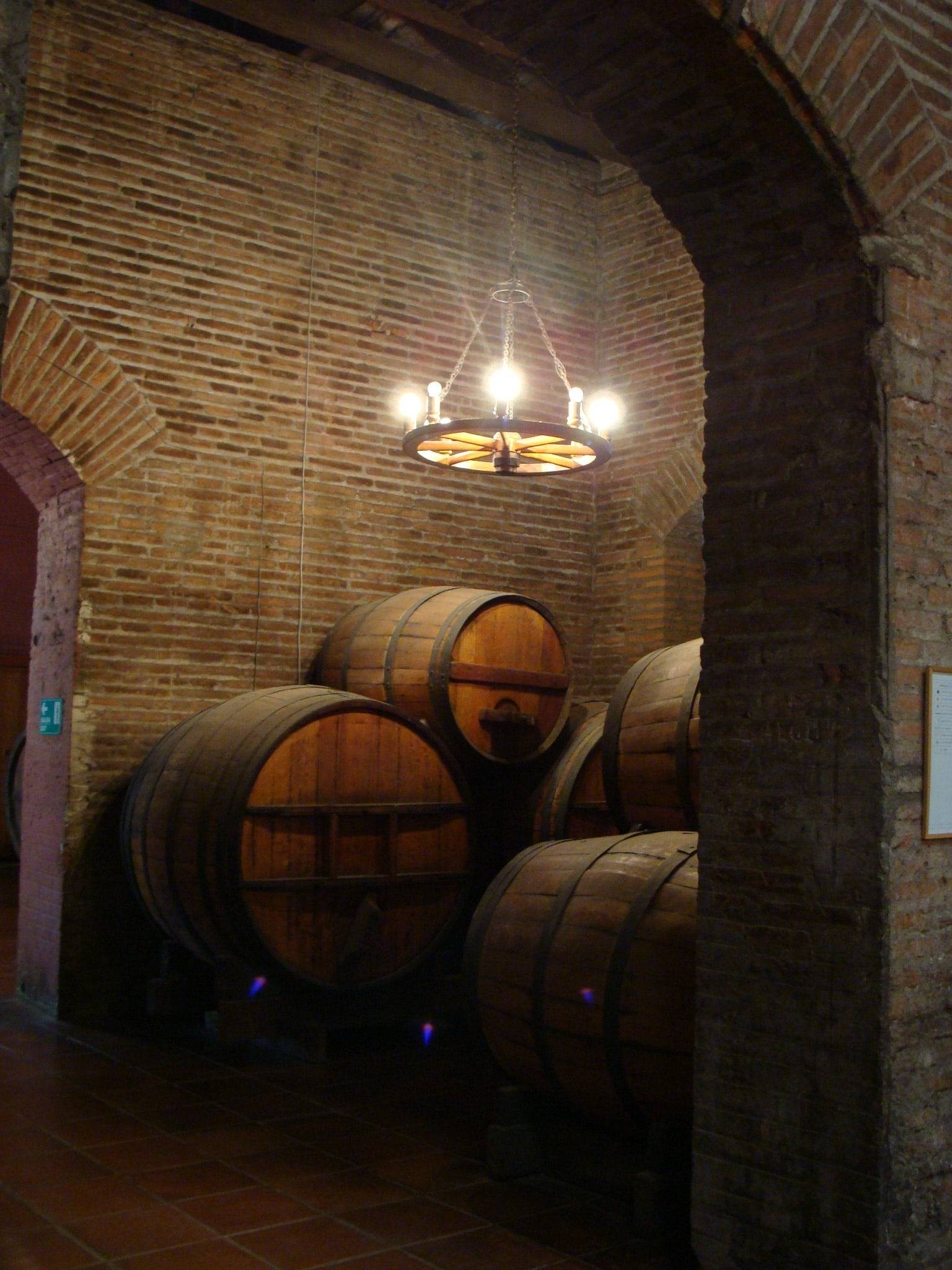 Bodega Cousino Macul