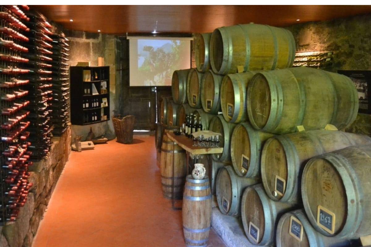 Best Douro Valley Tours From Porto