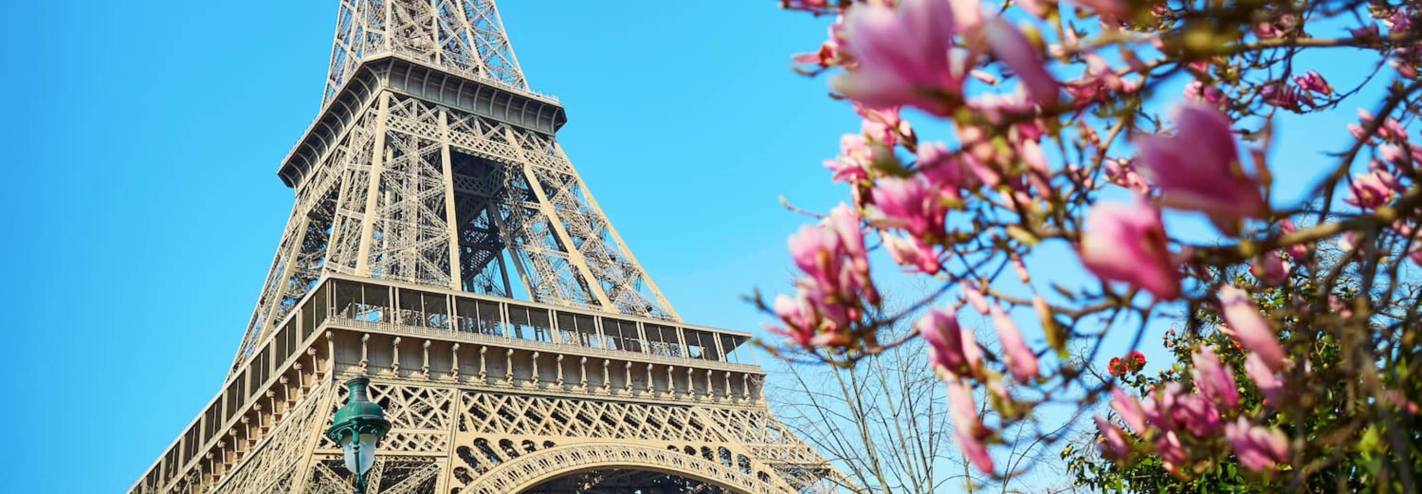 Free Tour Eiffel Tower Arc Triumphe