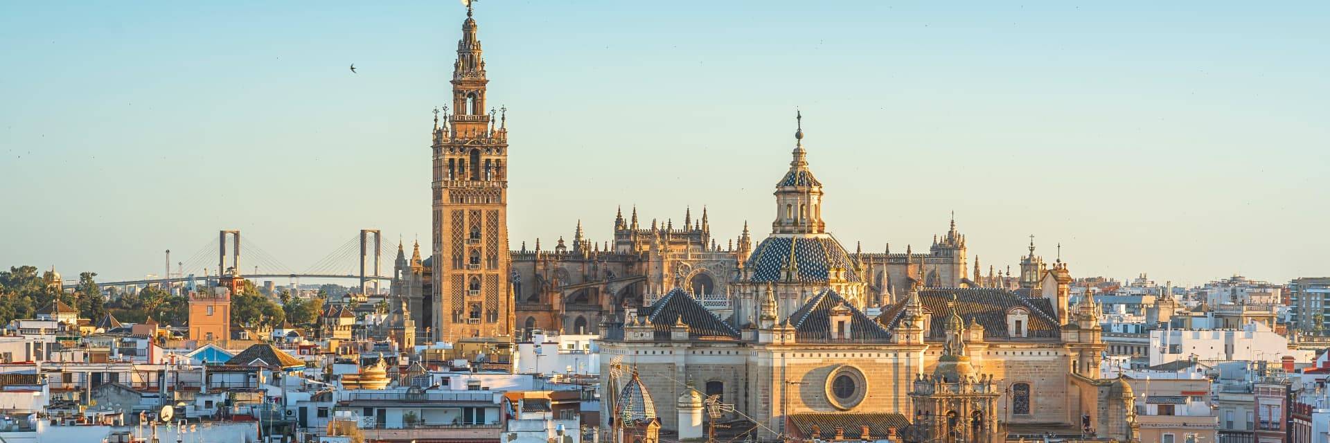 Seville Walking Tour with guided visit to Cathedral and Alcazar