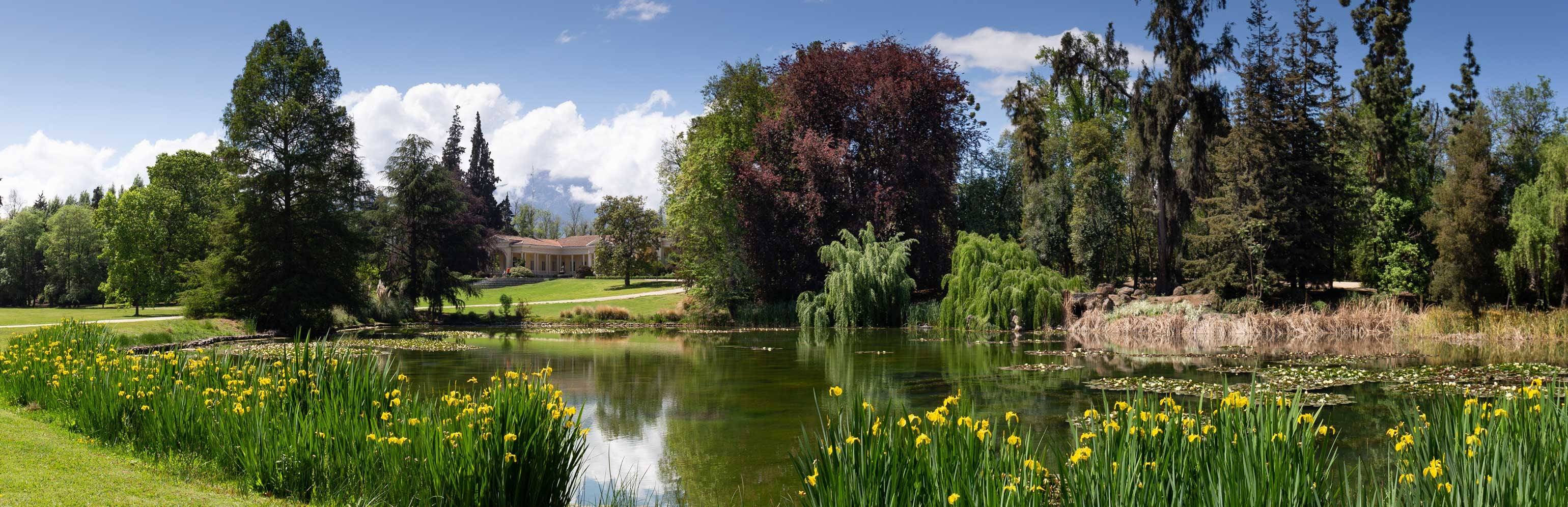 Concha Y Toro Jardines