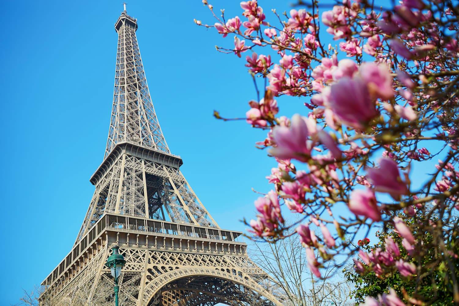 Free Tour Torre Eiffel y Arco del Triunfo