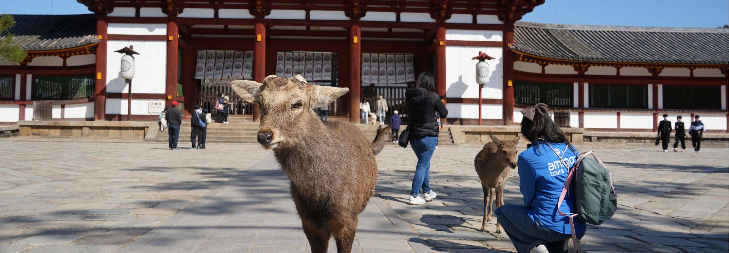 Nara From Osaka