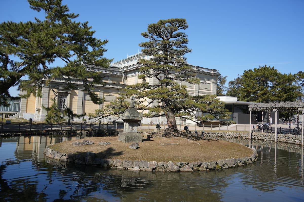 Nara Park From Osaka