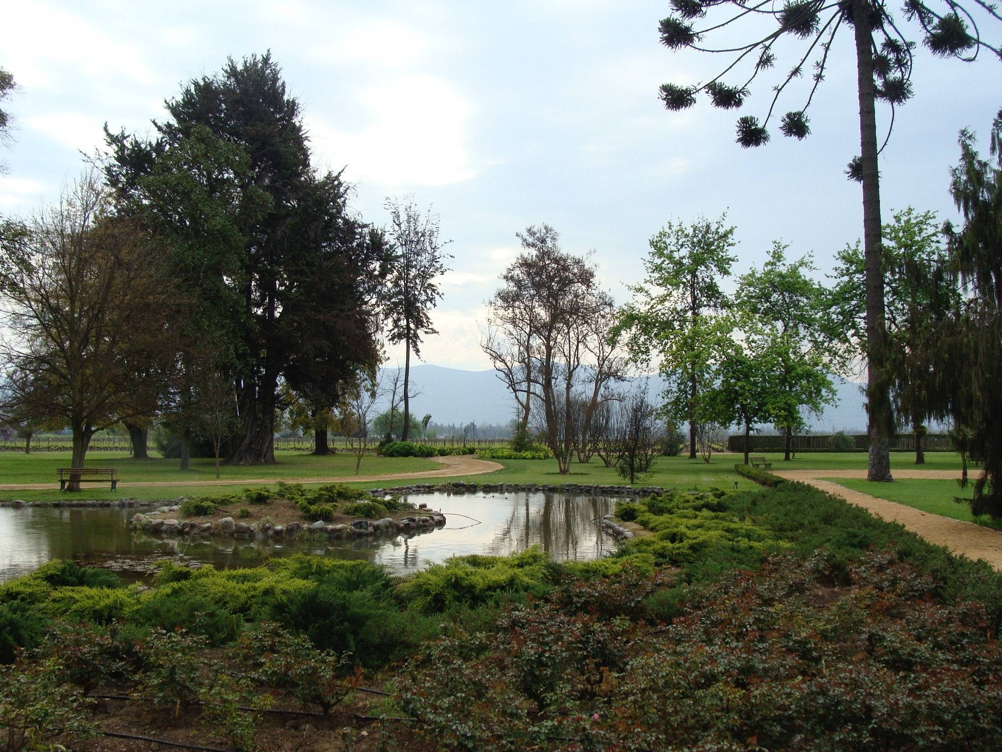 Jardines Undurraga Ahm