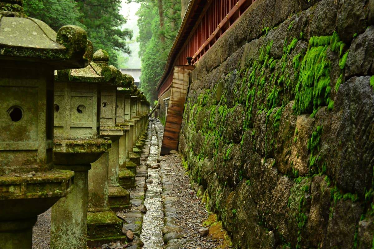 Templo Toshogu Tour Desde Tokio