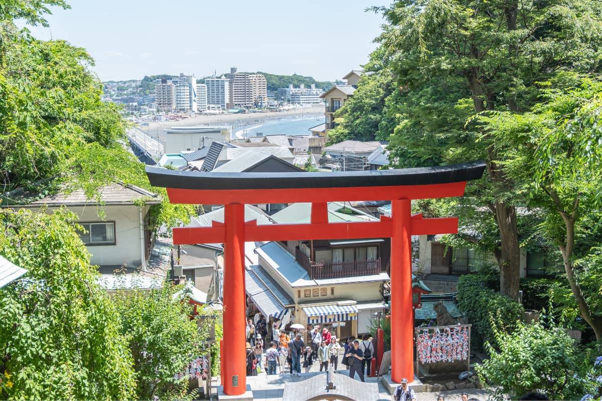 Tour Enoshima Desde Tokio