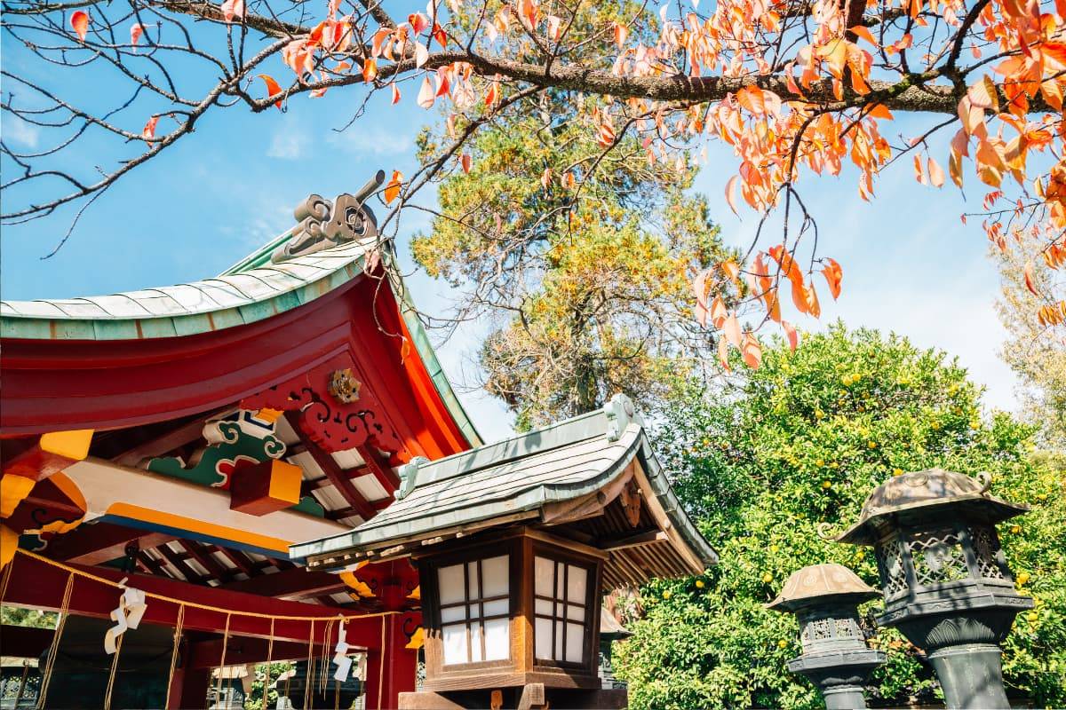 Templo Toshogu Excursion Desde Tokio