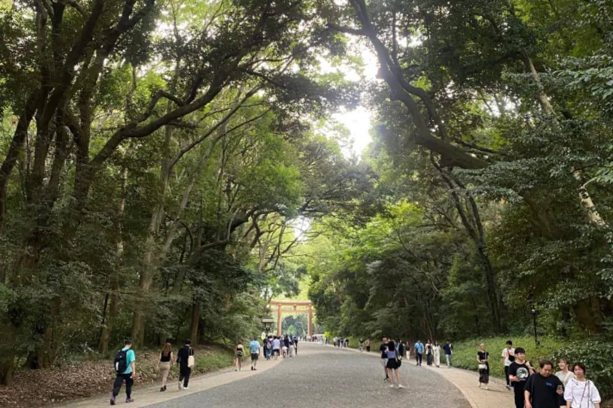 Meiji Santuario