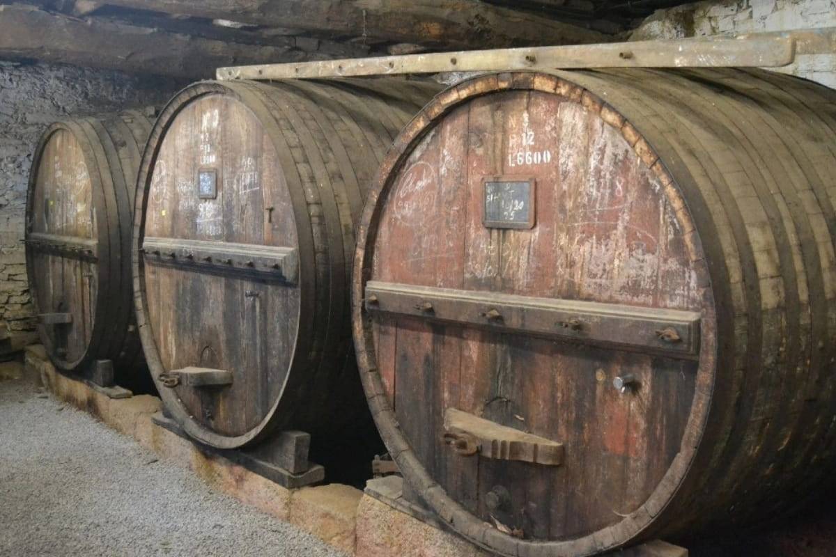 Douro Valley Wine Tasting