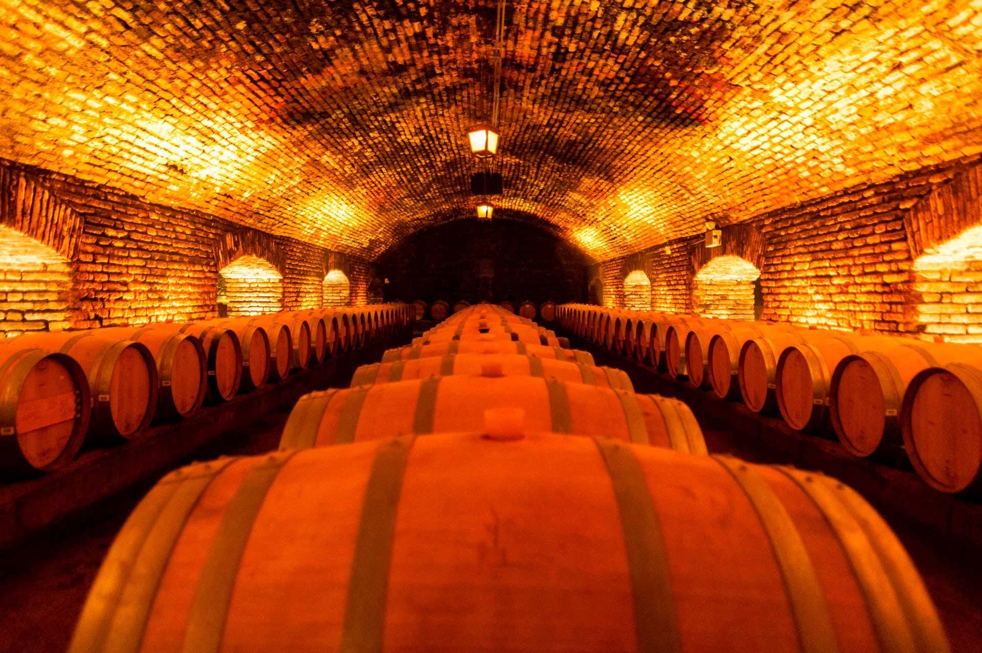 Bodega Concha Y Toro Santiago