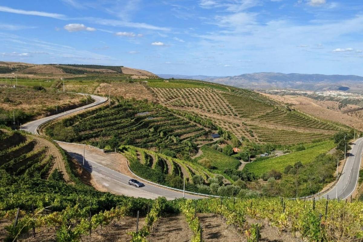 Porto Douro Valley Tour