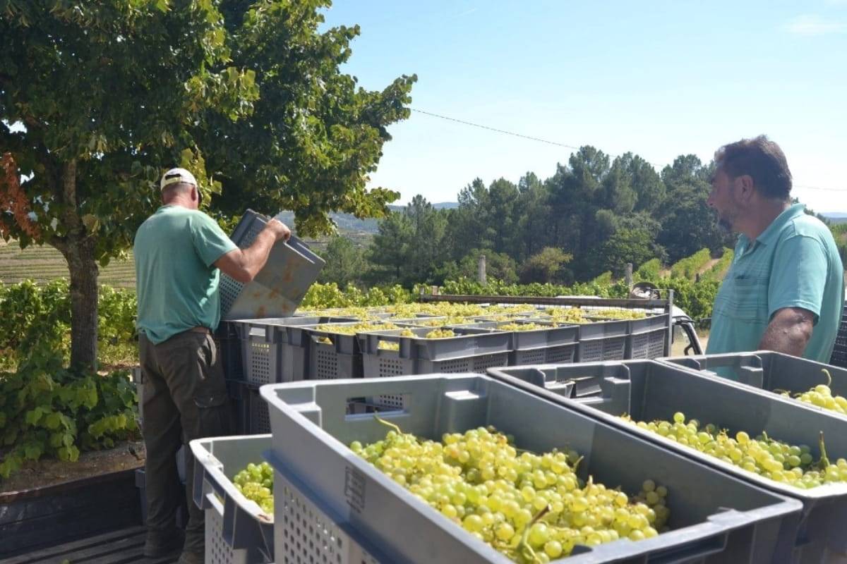 Best Douro Valley Wine Tours