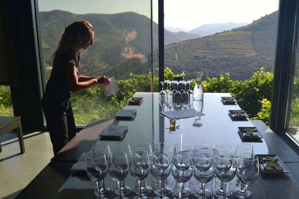Douro Valley Wine Tour
