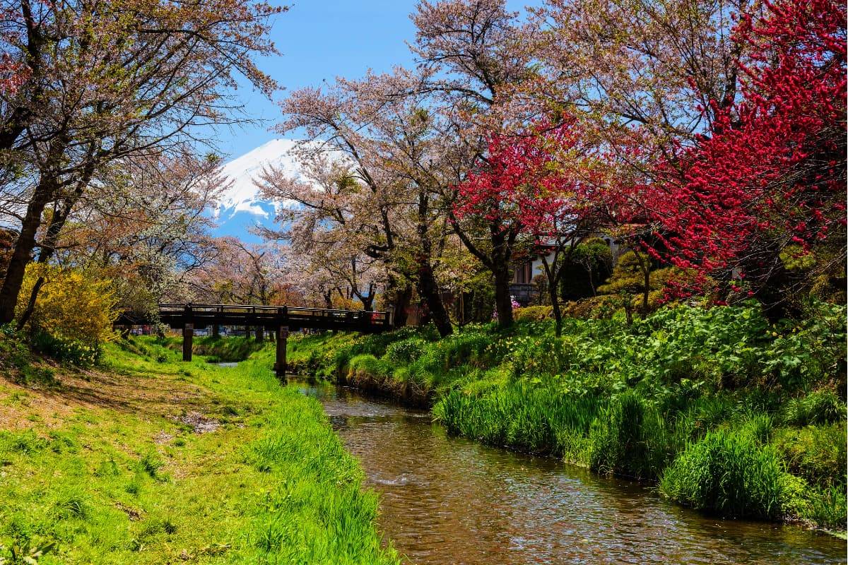 Oshino Hakkai Mount Fuji