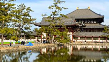 Tour Nara Kobe Desde Kioto