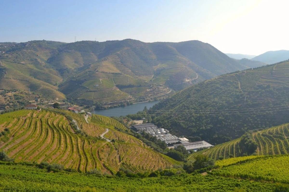 Douro Valley Wine Tour From Lisbon