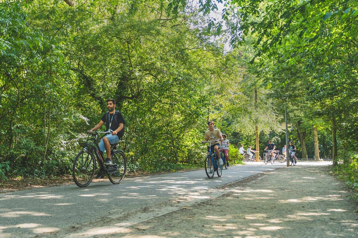 Bici Campiña Holandesa