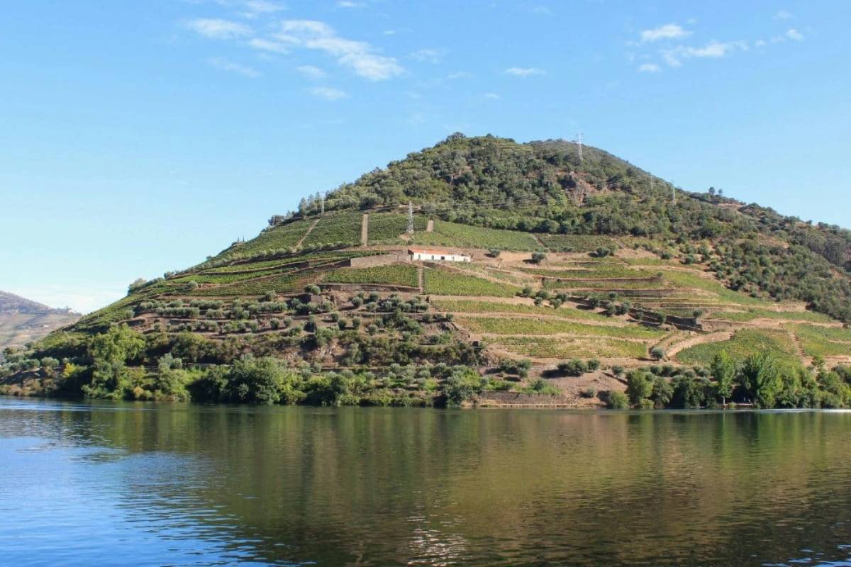 Best Douro Valley Wine Tours From Porto