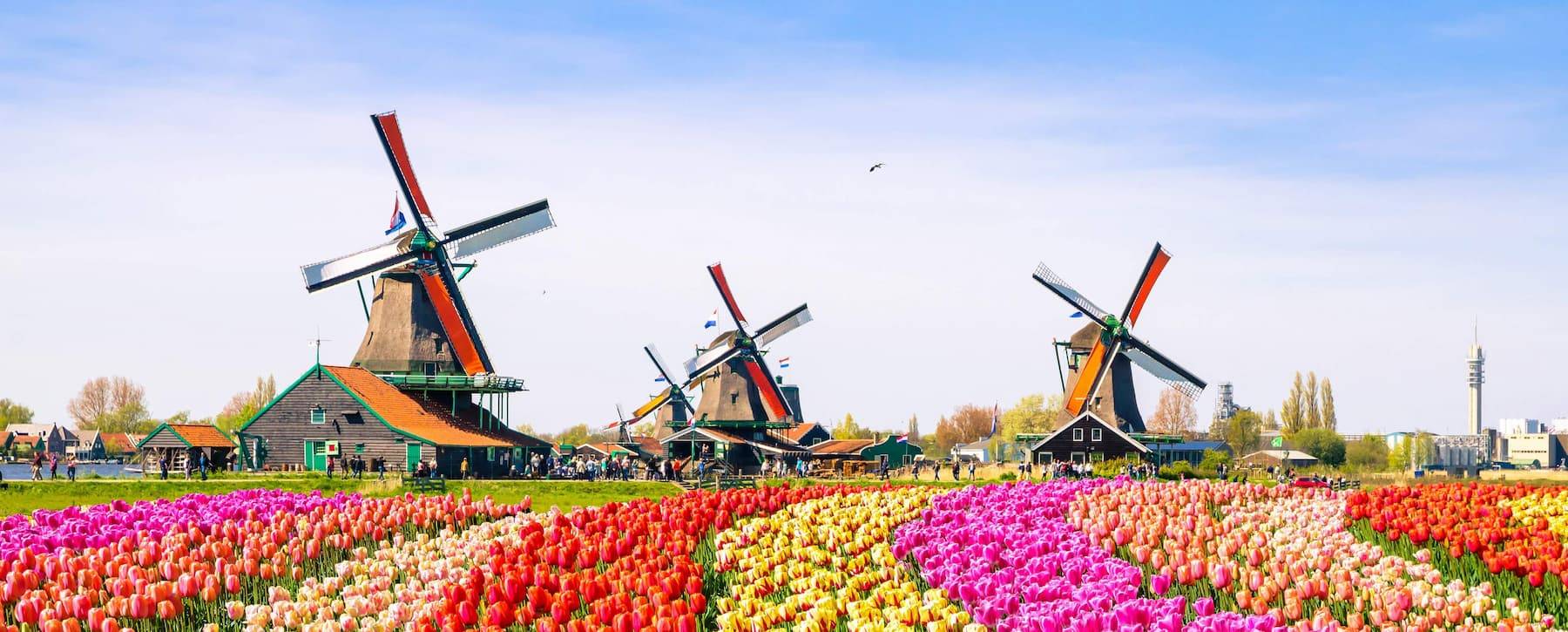 Amsterdam Windmills Tour